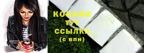 ECSTASY Белокуриха
