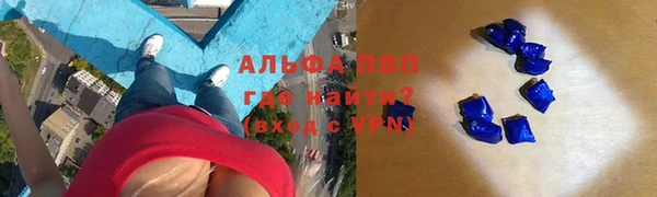 ECSTASY Белокуриха