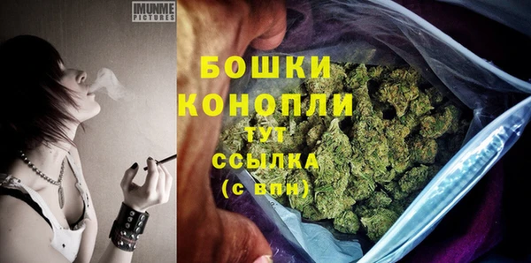молекула духа Беломорск