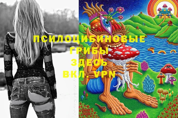 ECSTASY Белоозёрский