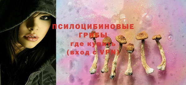 молекула духа Беломорск