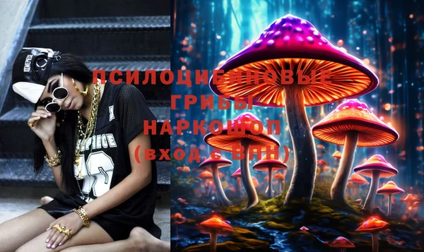 ECSTASY Белокуриха