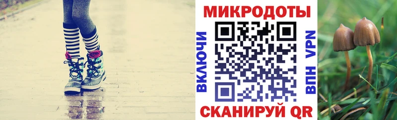 Псилоцибиновые грибы MAGIC MUSHROOMS  hydra ссылки  Высоцк 